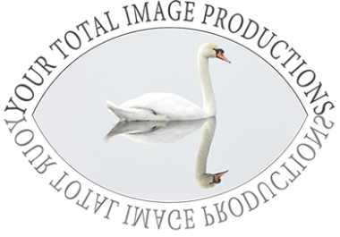 your total image logo